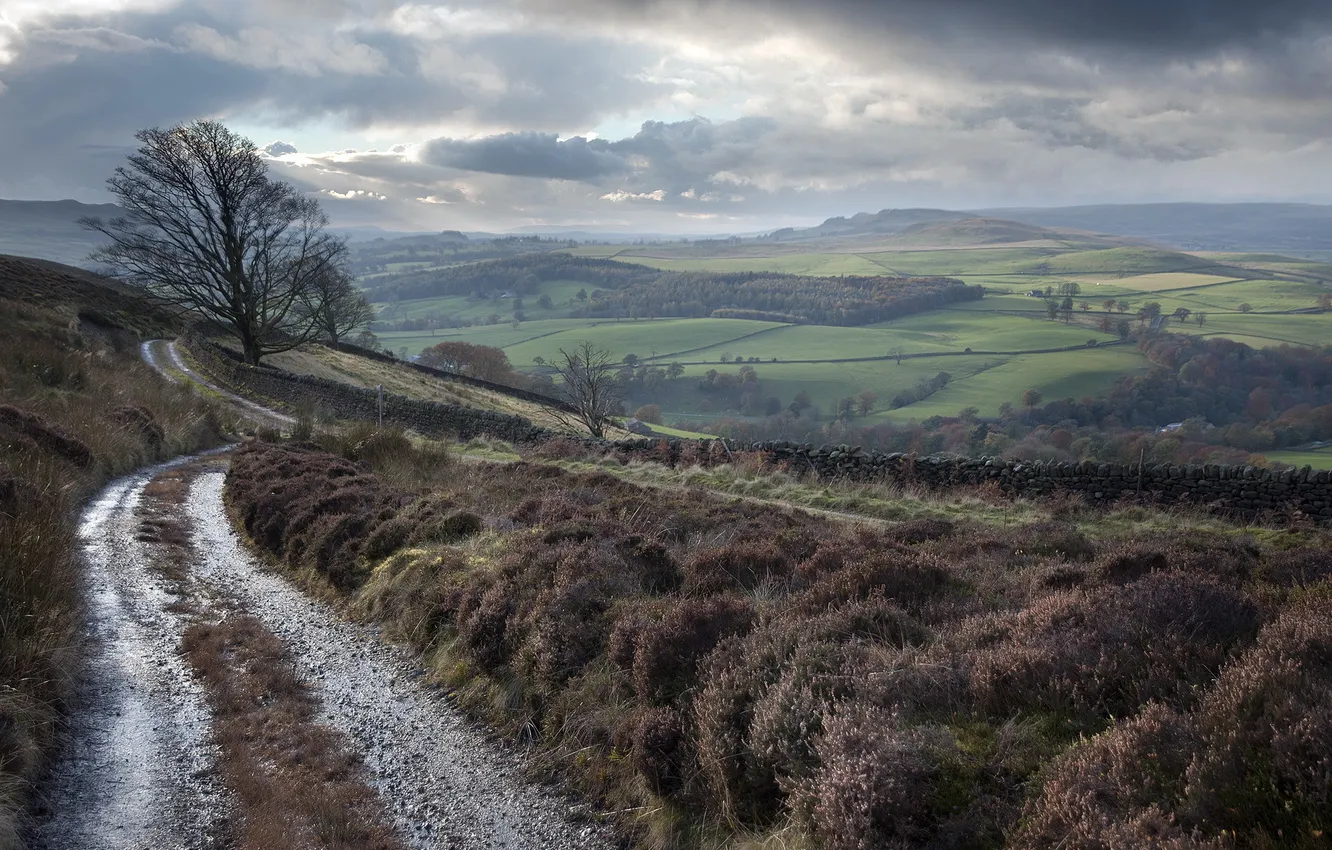Photo wallpaper road, field, landscape