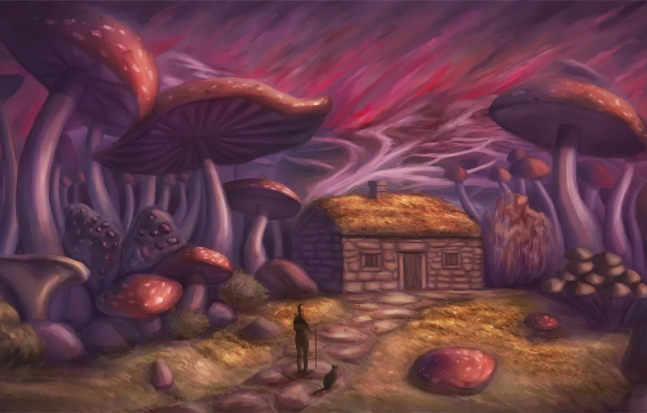 Photo wallpaper cat, mushrooms, people, home