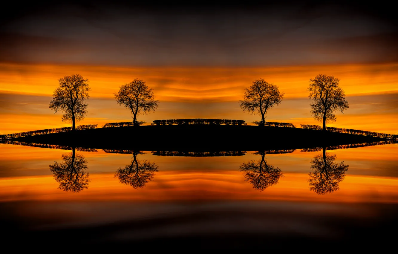 Photo wallpaper water, trees, reflection, hill