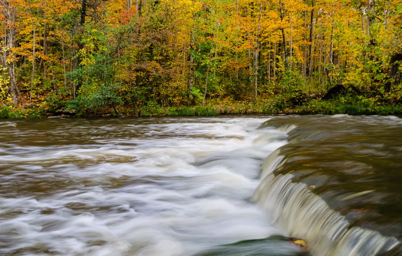 Photo wallpaper autumn, forest, trees, river, stream, thresholds