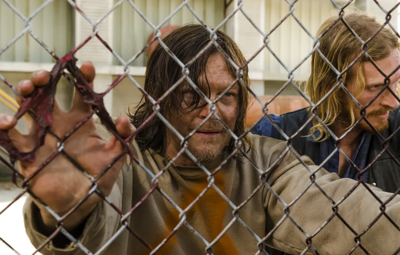 Photo wallpaper season 7, The Walking Dead, Norman Reedus, Daryl Dixon