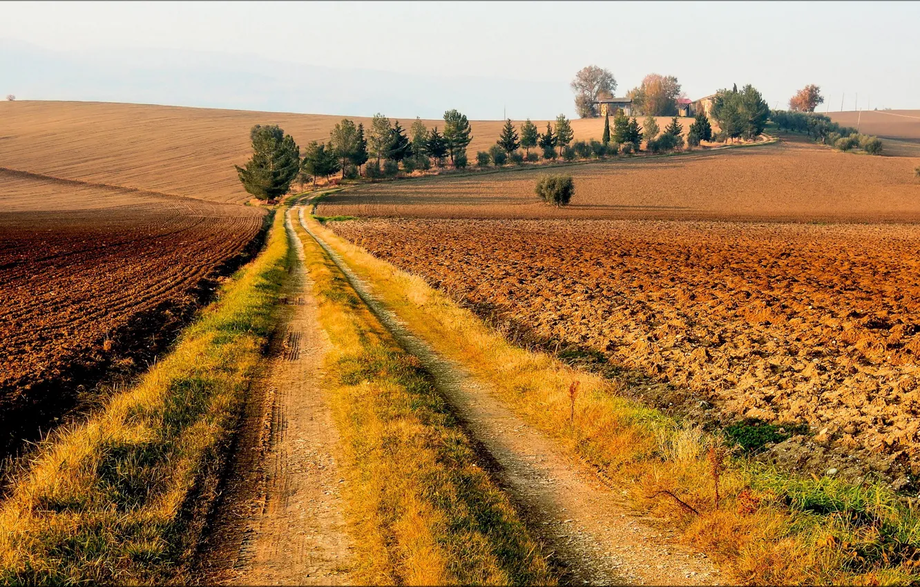Photo wallpaper road, autumn, trees, field, houses, Sunny