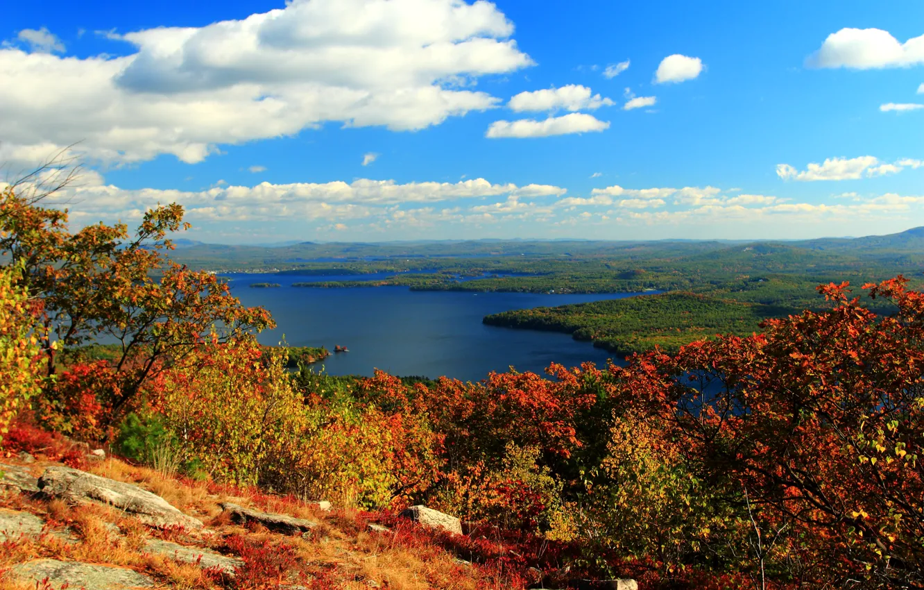 Photo wallpaper autumn, nature, river, colors, river, nature, autumn, scenery