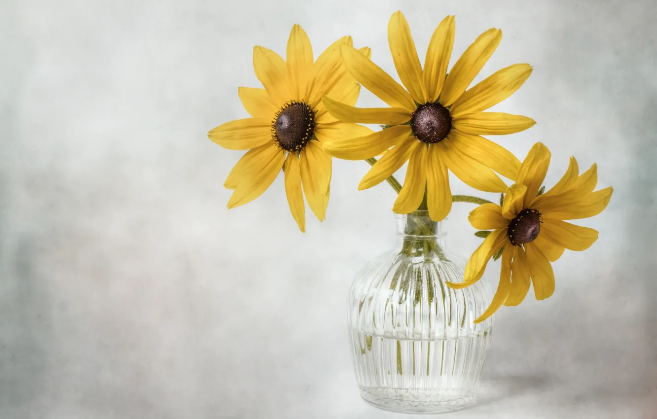 Photo wallpaper yellow, vase, trio, rudbeckia