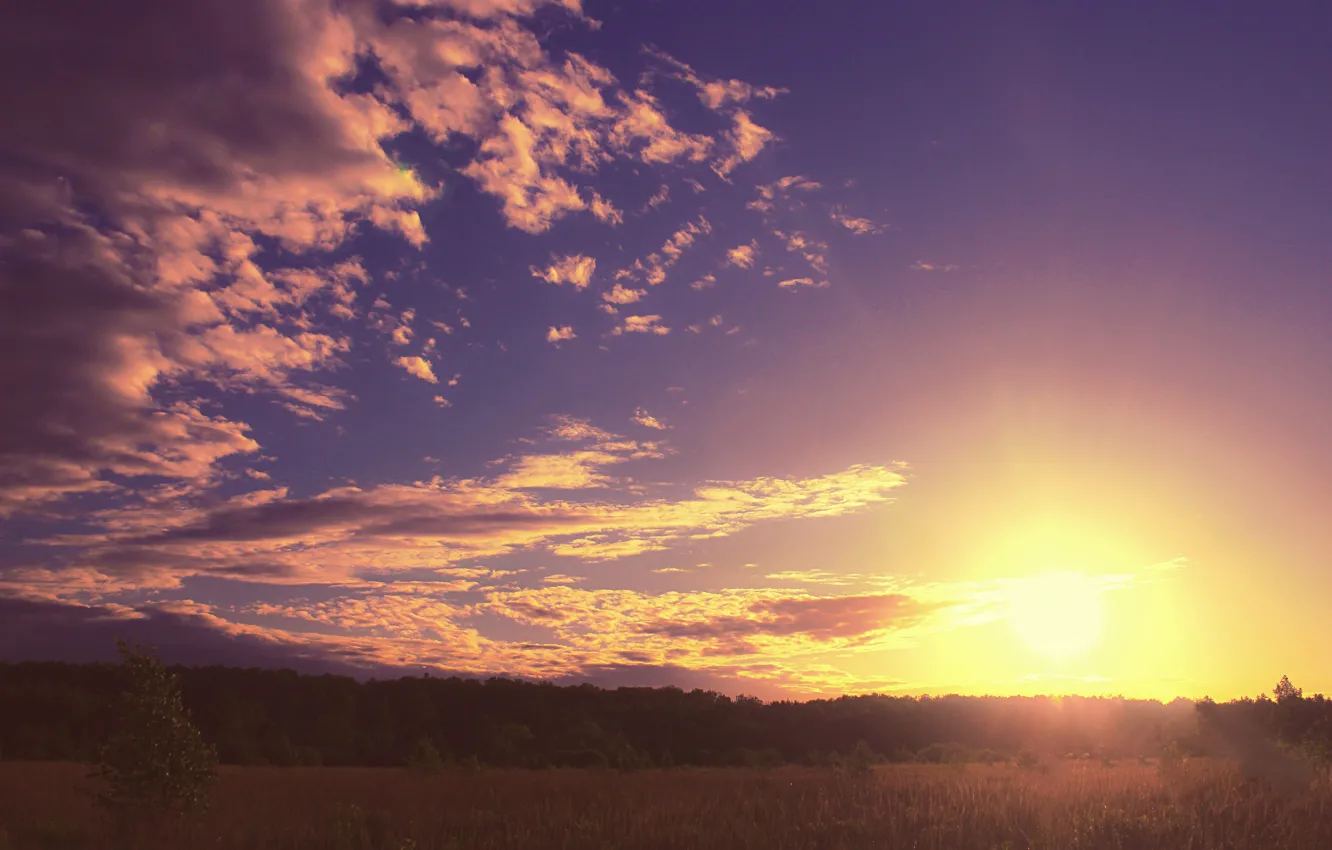 Photo wallpaper field, the sky, clouds, sunset, Vasil Anders