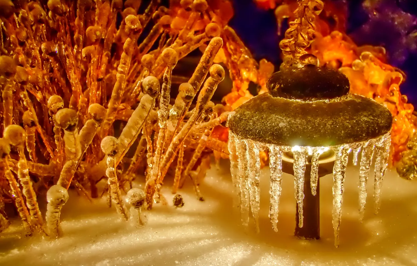Photo wallpaper ice, winter, light, snow, lights