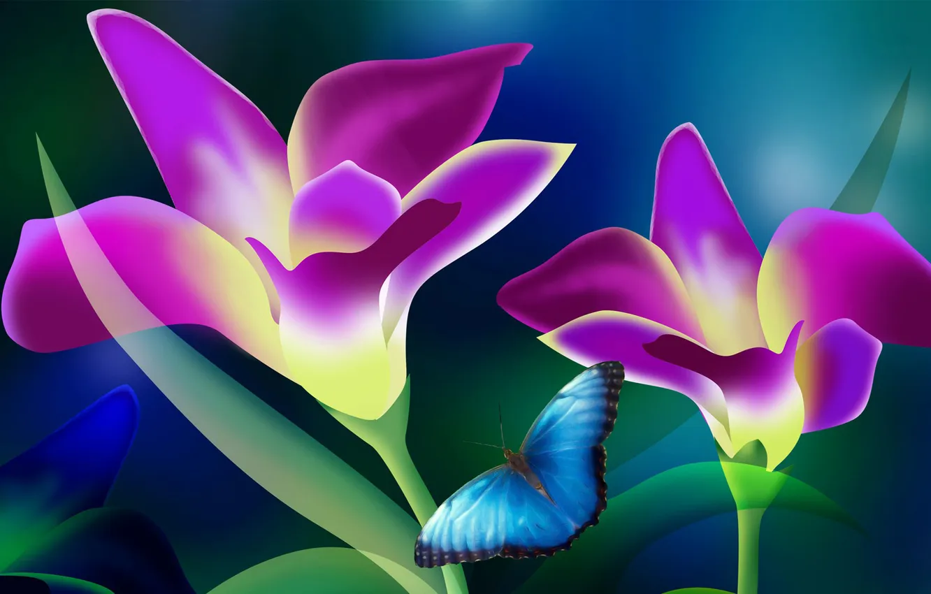 Photo wallpaper flowers, collage, butterfly, petals, motylek