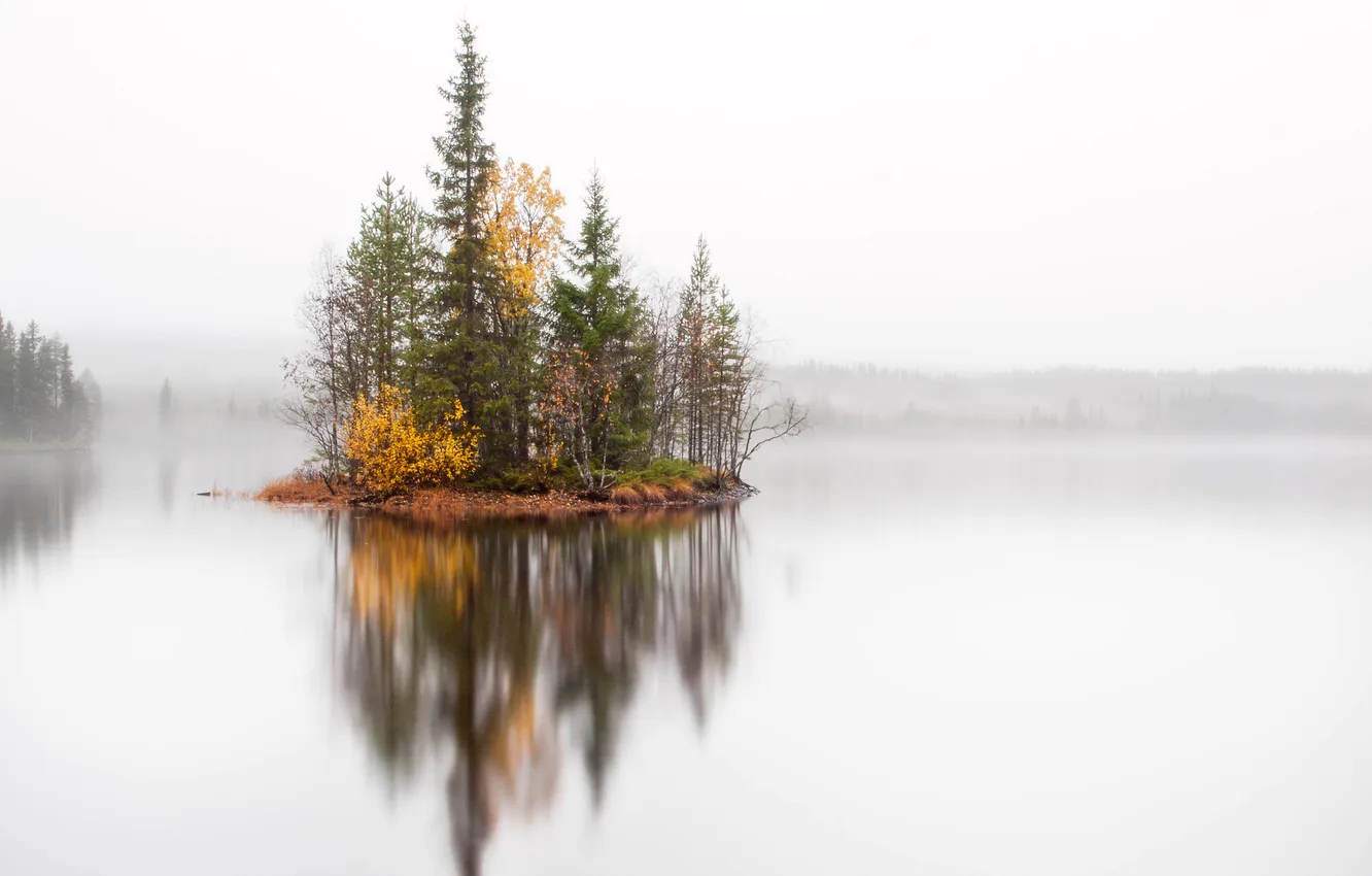 Photo wallpaper autumn, trees, fog, lake, island