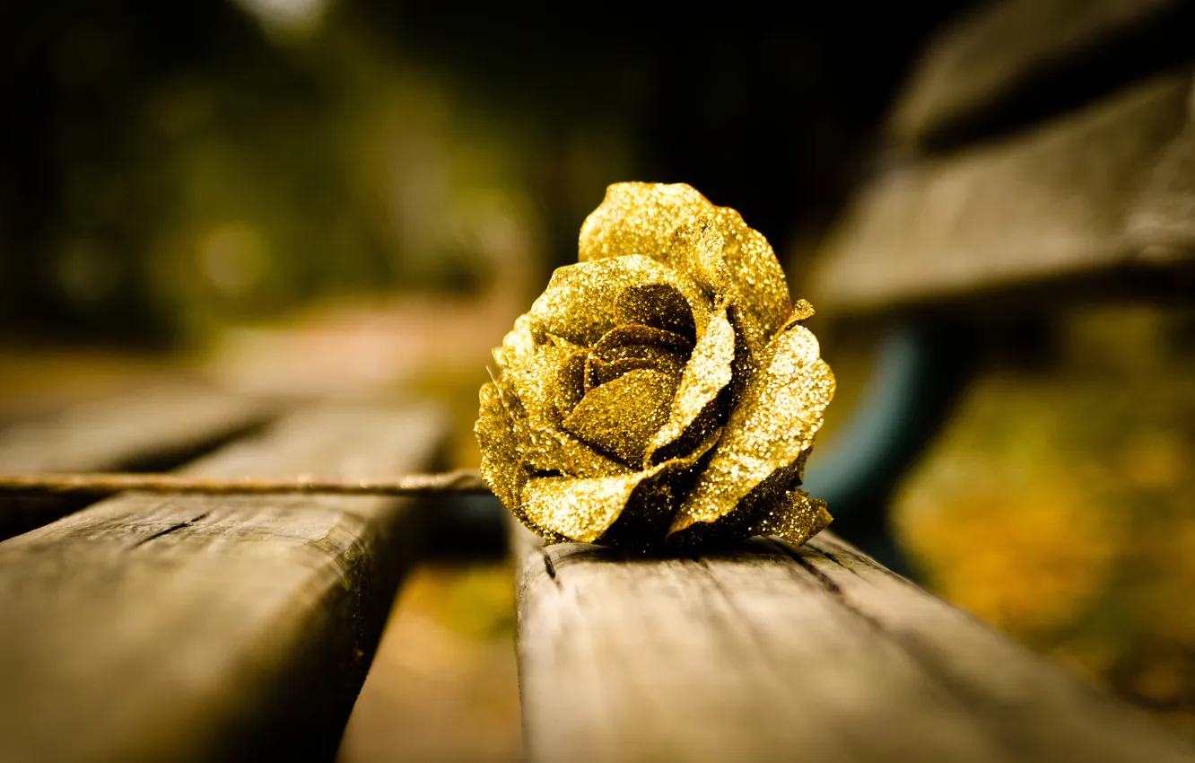 Photo wallpaper flower, rose, gold