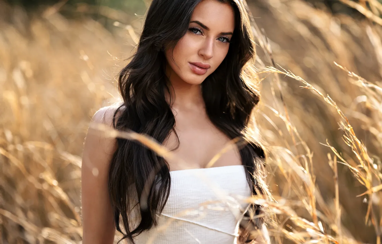 Photo wallpaper grass, look, the sun, pose, model, portrait, makeup, figure