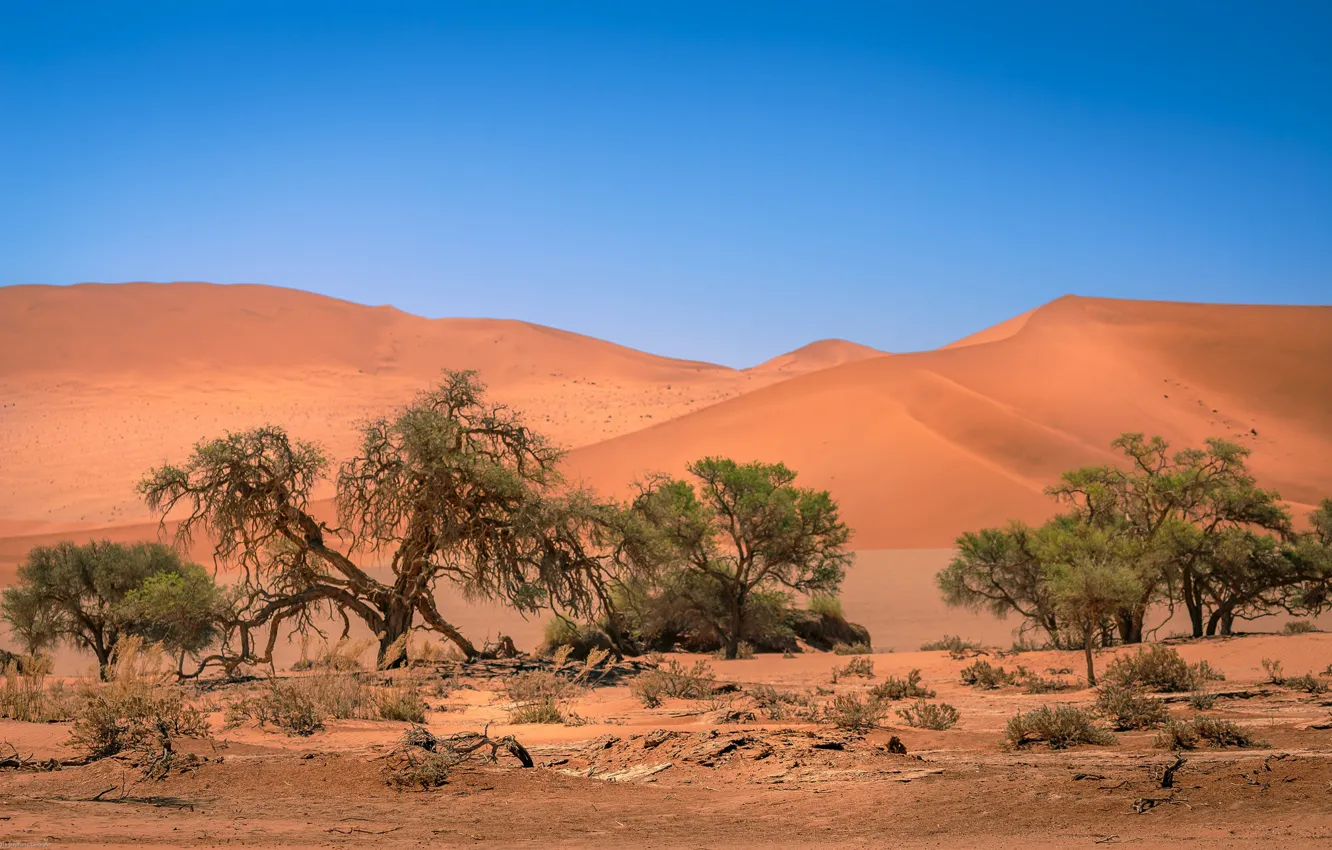 Photo wallpaper sand, dunes, Africa, Namibia, Namibia, Sossusvlei
