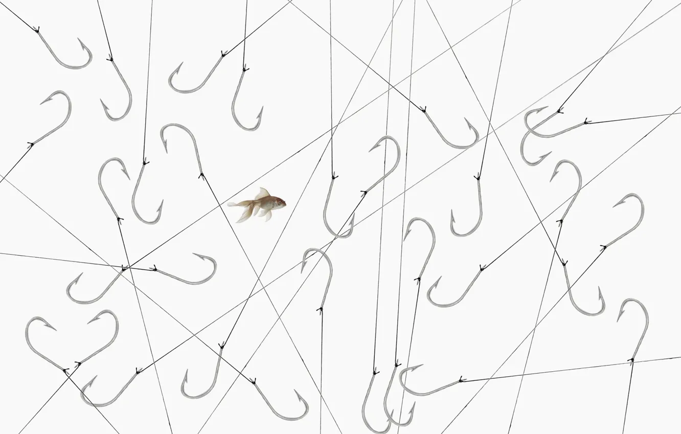Photo wallpaper background, fish, hooks