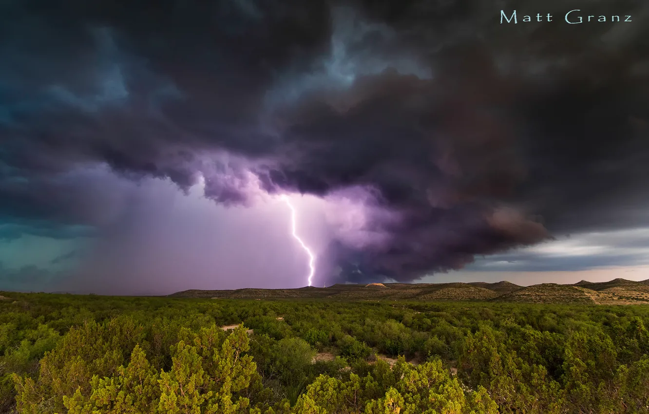 Photo wallpaper forest, clouds, storm, USA, Texas, South