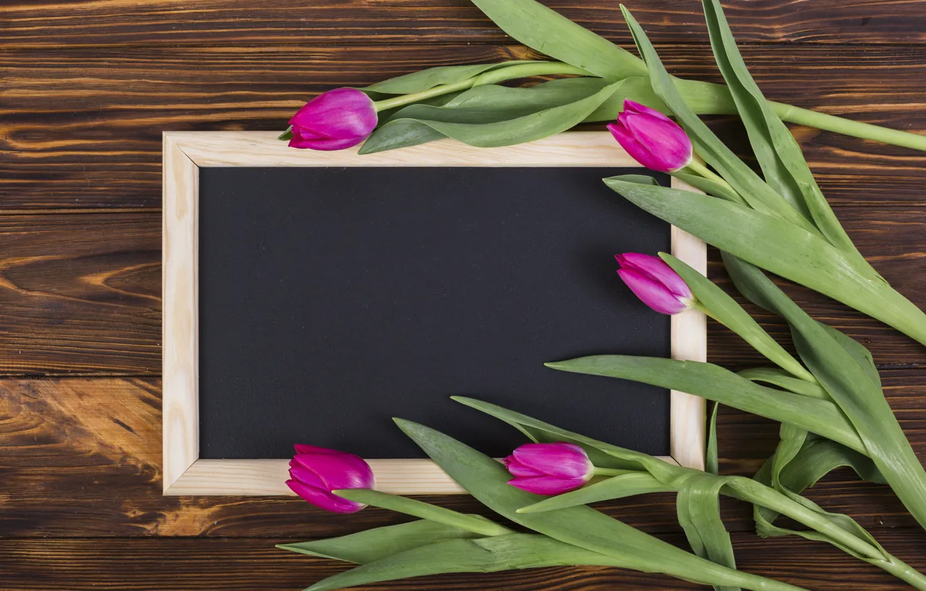 Photo wallpaper flowers, frame, colorful, tulips, wood, pink, flowers, tulips