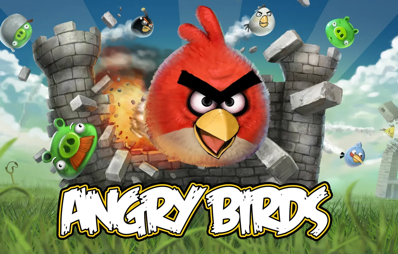 Photo wallpaper the game, flight, game, angry birds