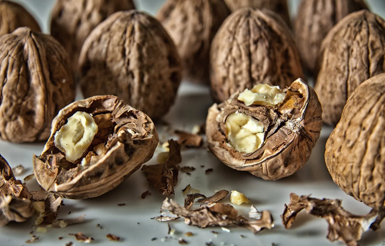 Photo wallpaper macro, nuts, shell, peel, walnut