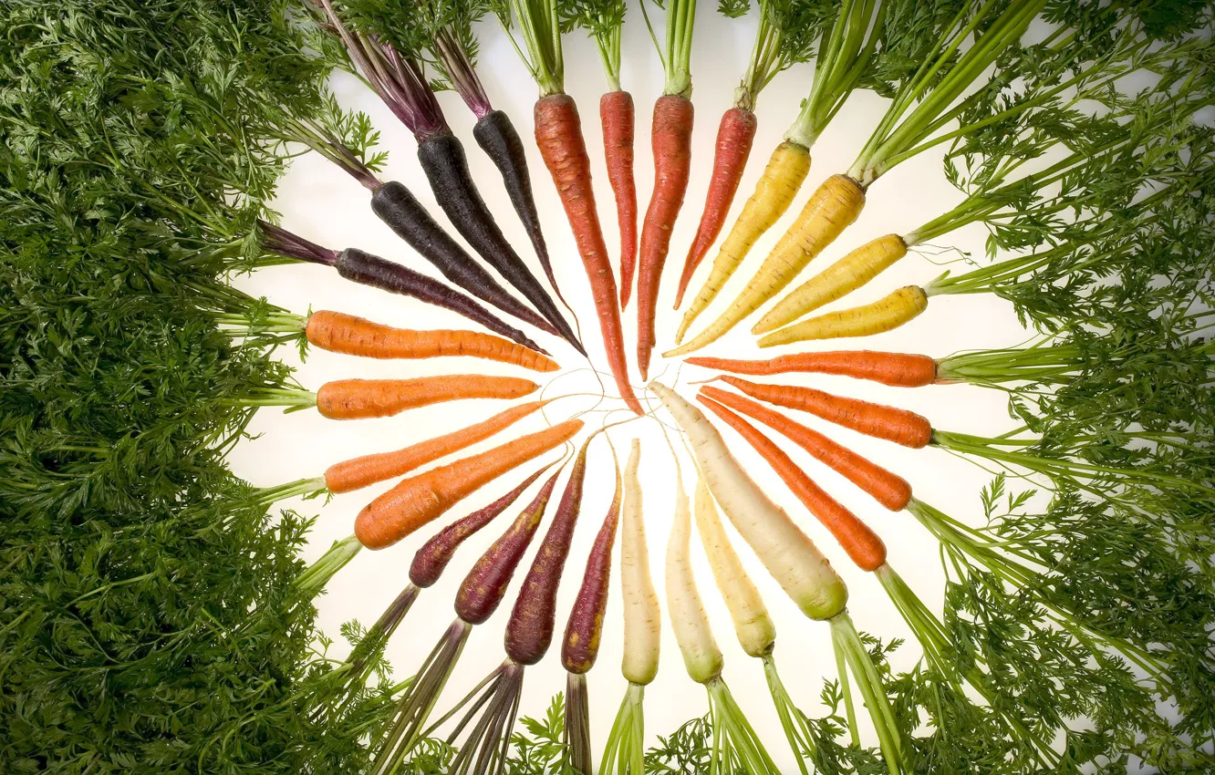 Photo wallpaper food, a profusion of color, carrots