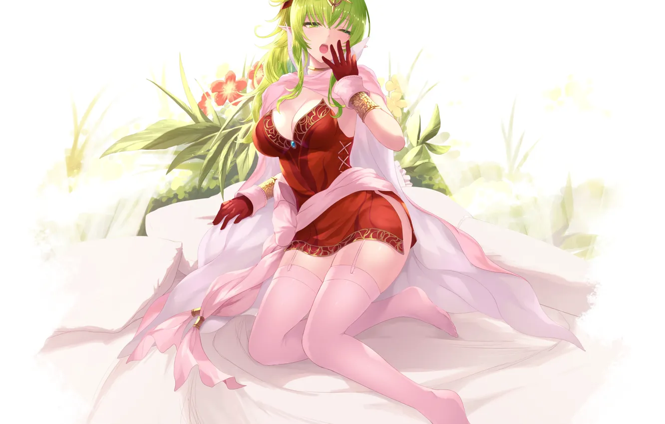 Photo wallpaper girl, the game, Fire Emblem