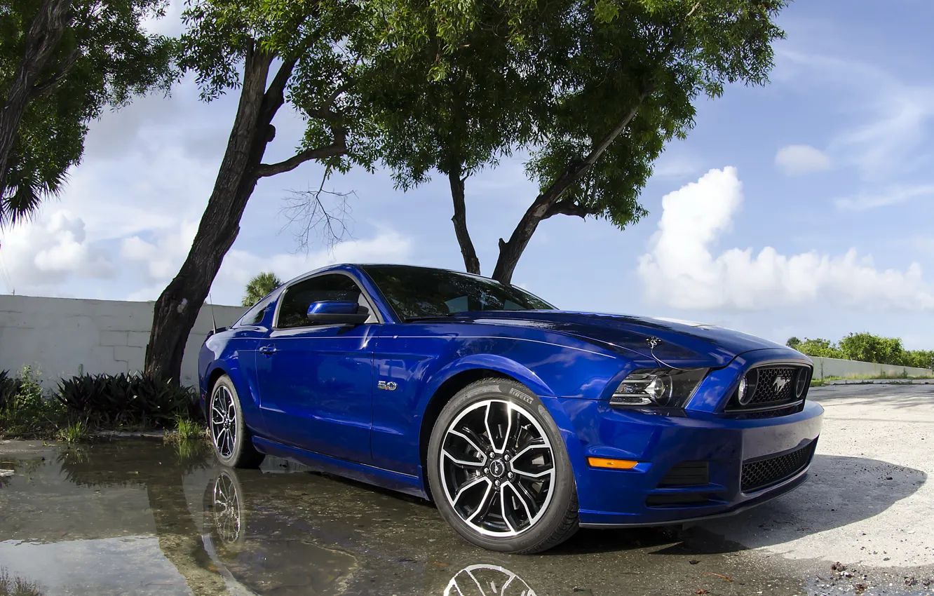 Photo wallpaper blue, Mustang, 5.0, 2013