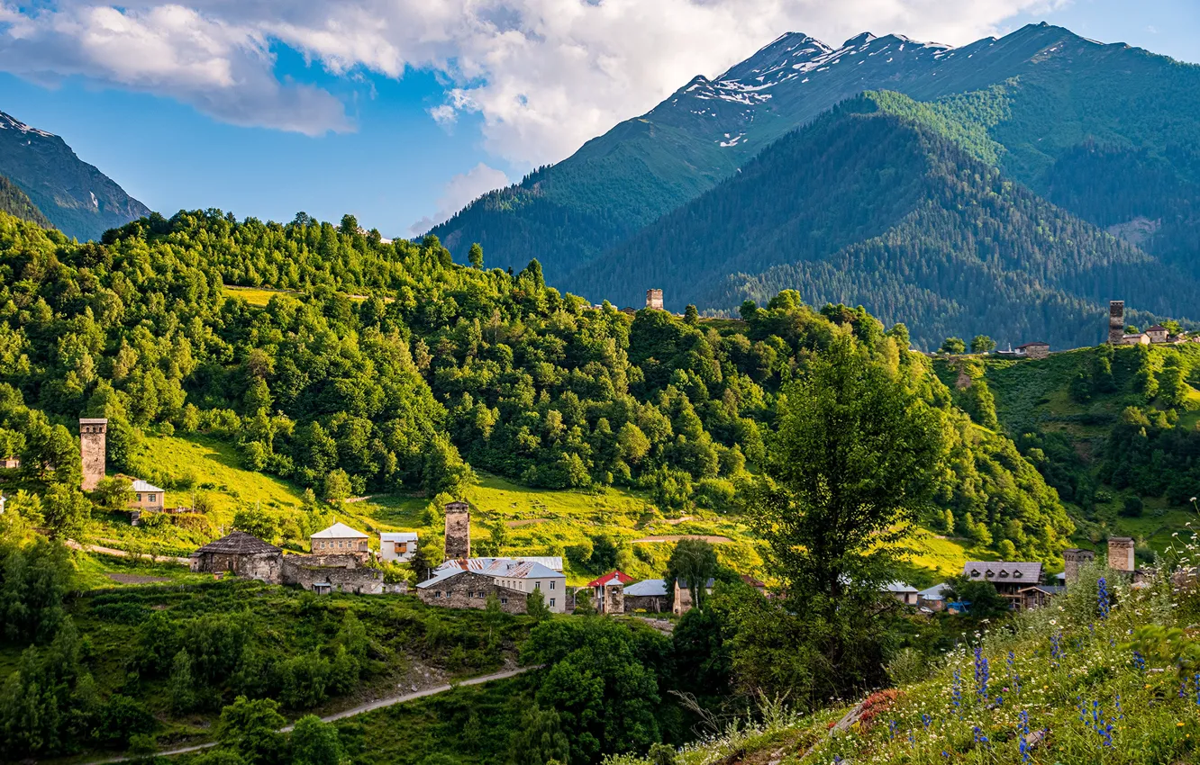 Photo wallpaper forest, trees, mountains, nature, home, Georgia, Svaneti