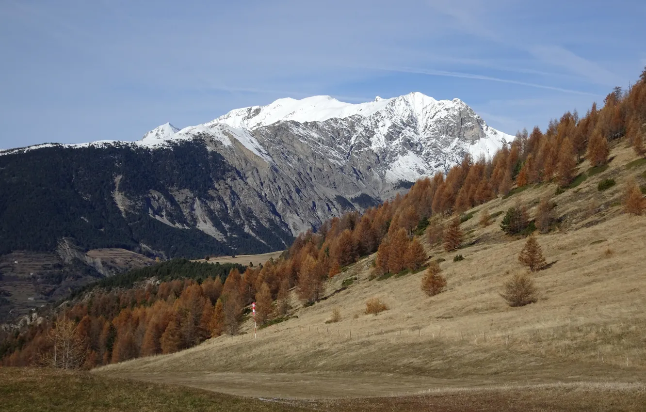 Photo wallpaper autumn, snow, trees, mountains, France, slope, Alpes-Maritimes, Valberg
