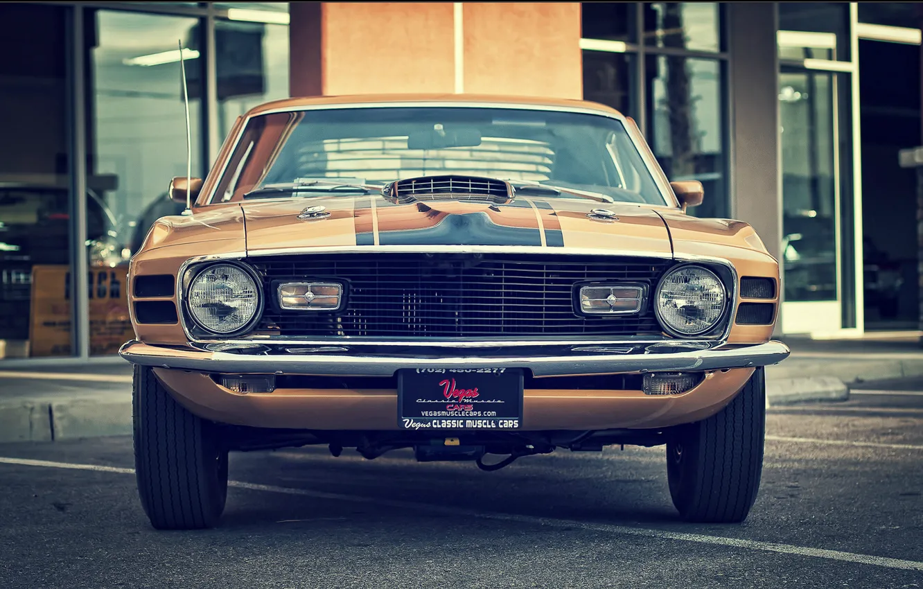Photo wallpaper mustang, ford, vintage, 1970, classic, mach 1
