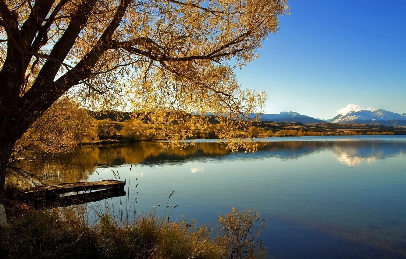 Photo wallpaper autumn, trees, river, the bridge