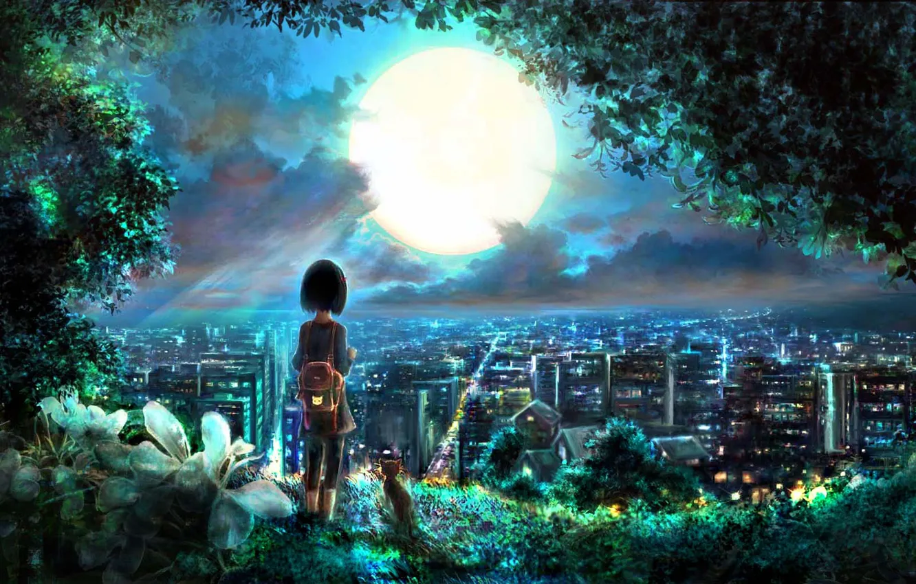 Photo wallpaper cat, night, the city, the moon, hill, girl, by 00
