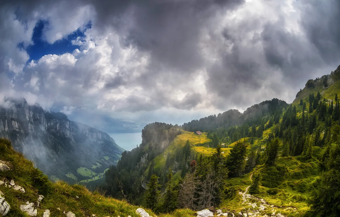 Photo wallpaper forest, clouds, mountains, height, house