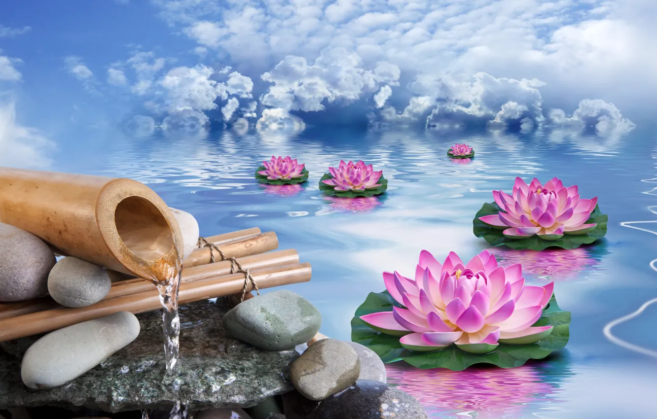 Photo wallpaper the sky, water, clouds, flowers, stones, bamboo, Lotus
