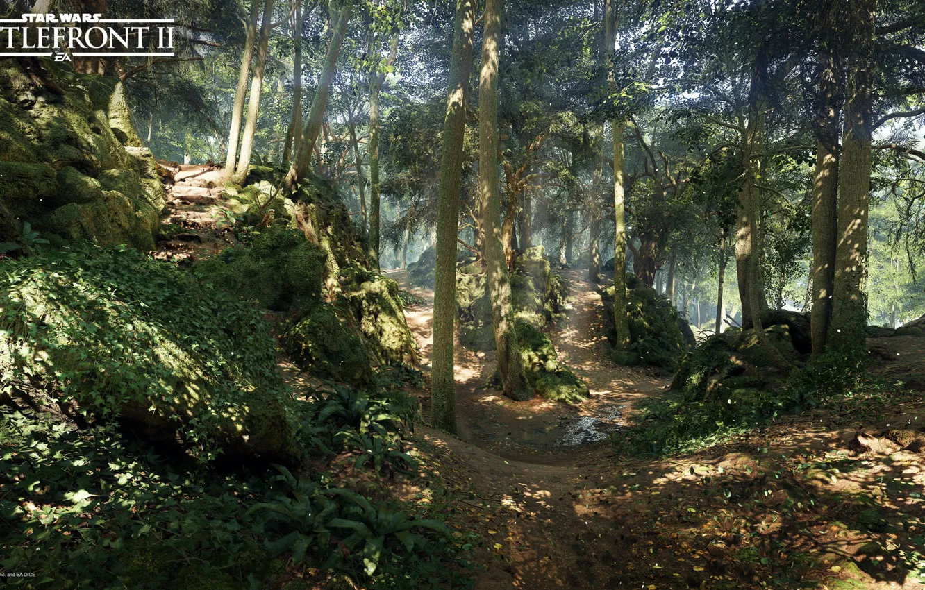 Photo wallpaper forest, nature, trail, Star Wars Battlefront 2, Mazs Castle Forest