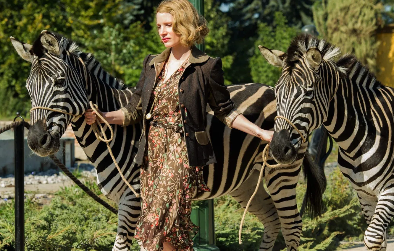 Photo wallpaper cinema, movie, film, zebra, Jessica Chastain, The Zookeeper's Wife