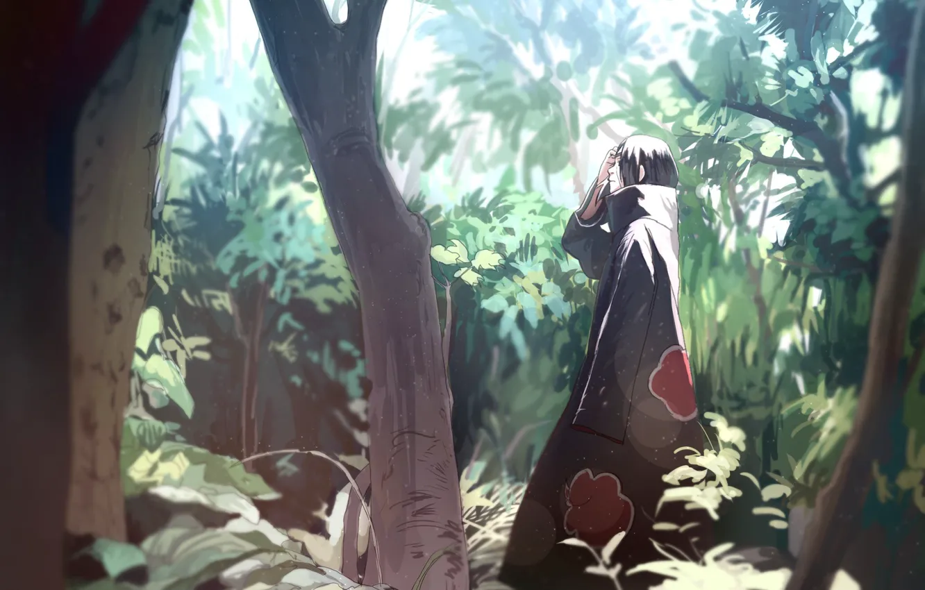 Photo wallpaper forest, naruto, nature, art, tree, akatsuki, sharingan, Uchiha Itachi