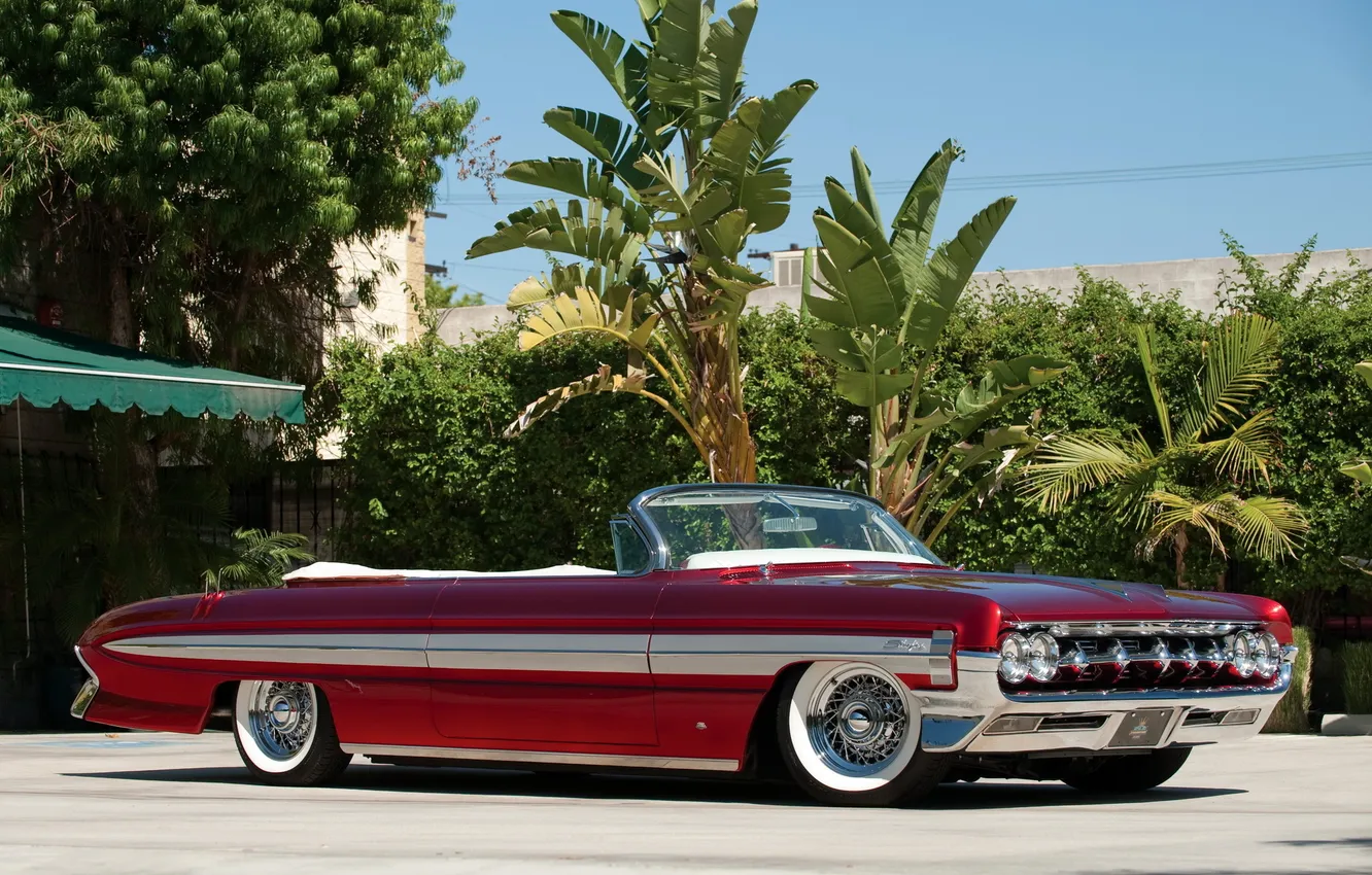 Photo wallpaper trees, palm trees, tuning, convertible, the bushes, tuning, beautiful car, Convertible