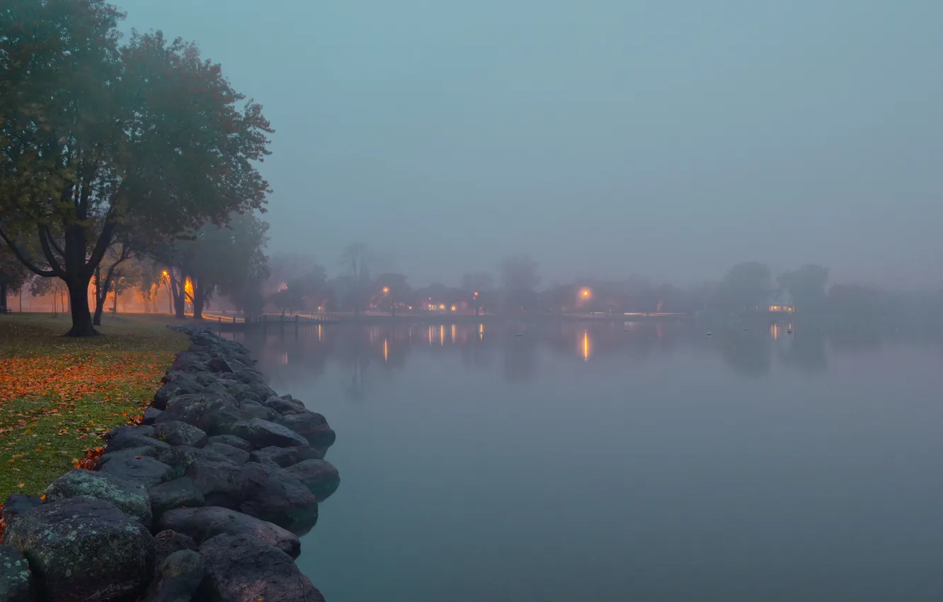 Photo wallpaper trees, lights, fog, lake, stones, moss, lights