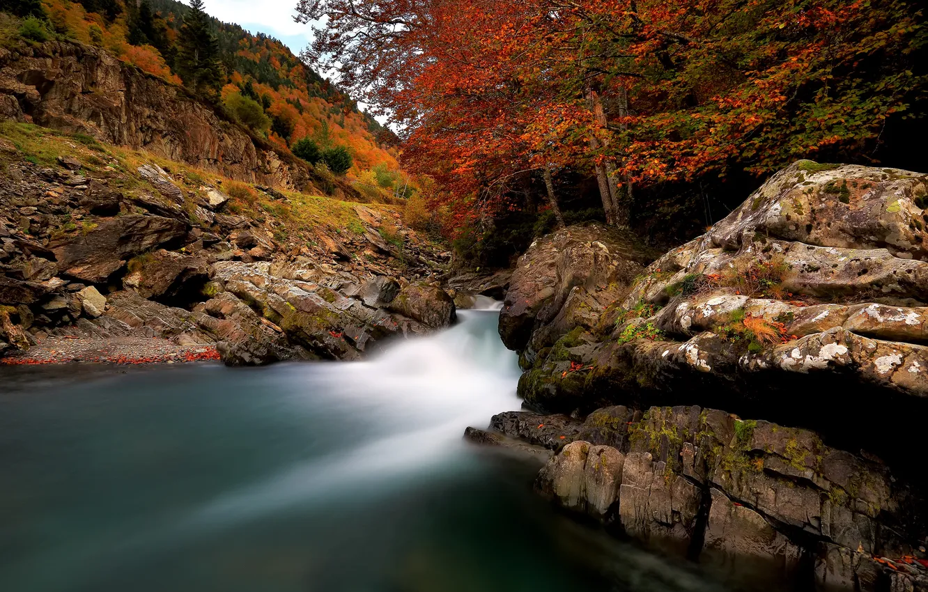 Photo wallpaper autumn, landscape, nature, river