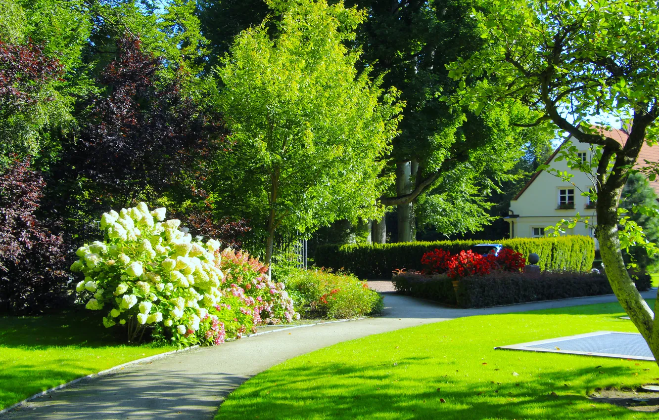 Photo wallpaper park, flowers, alley, garden