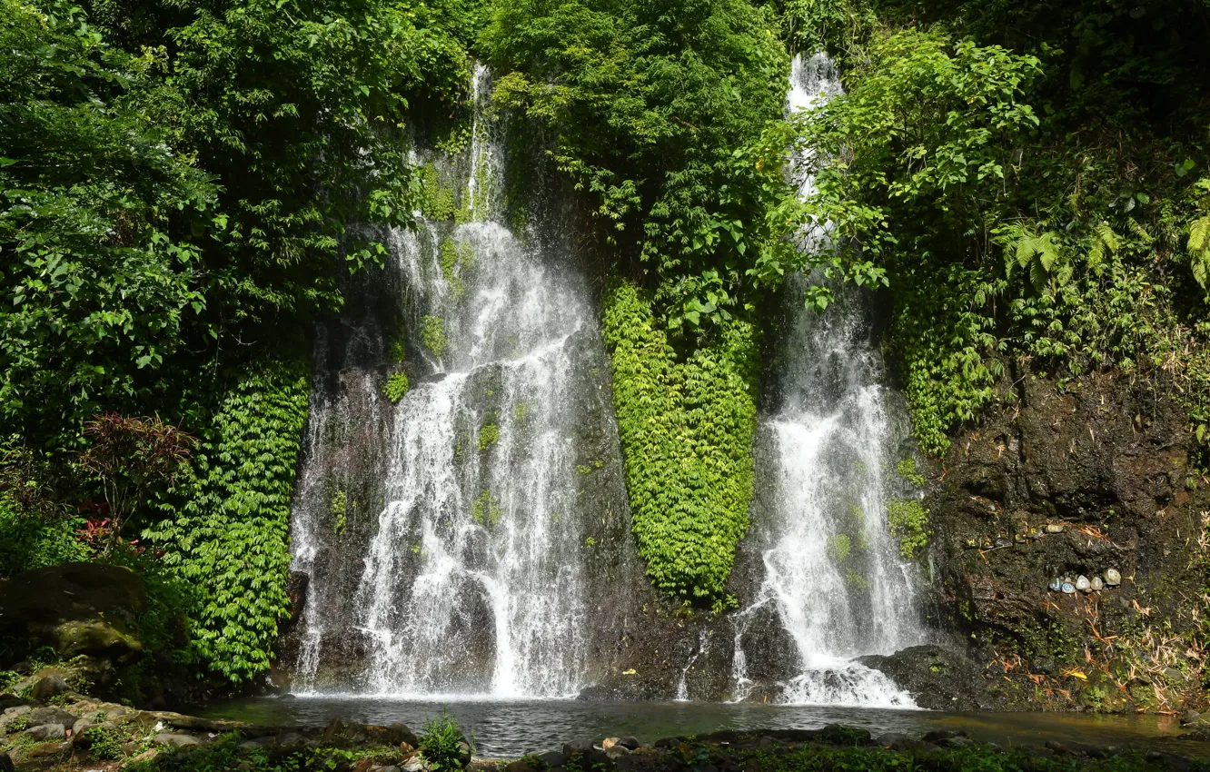 Photo wallpaper greens, the sun, trees, rock, tropics, stones, waterfall, Indonesia