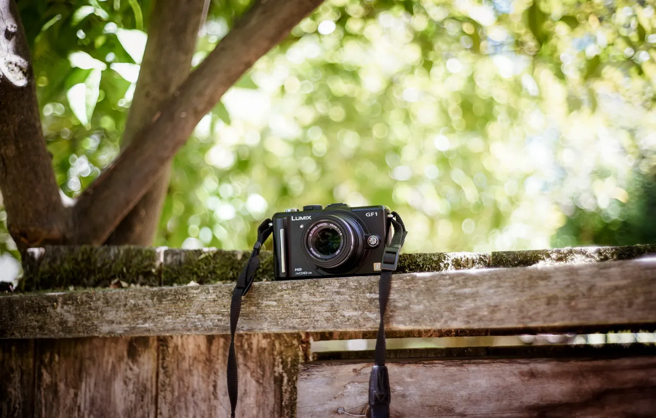 Photo wallpaper background, camera, Panasonic GF1, Olympus 45mm f1.8