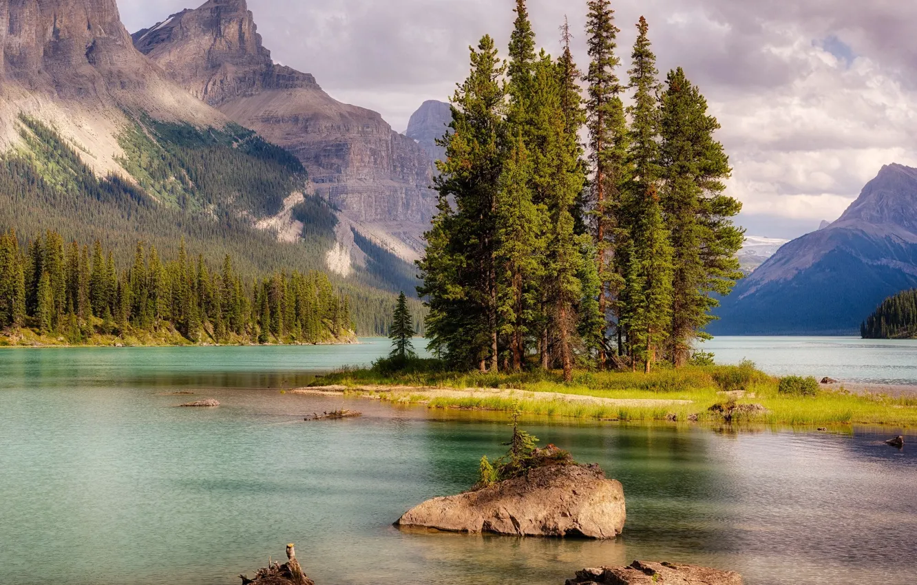 Photo wallpaper trees, nature, lake