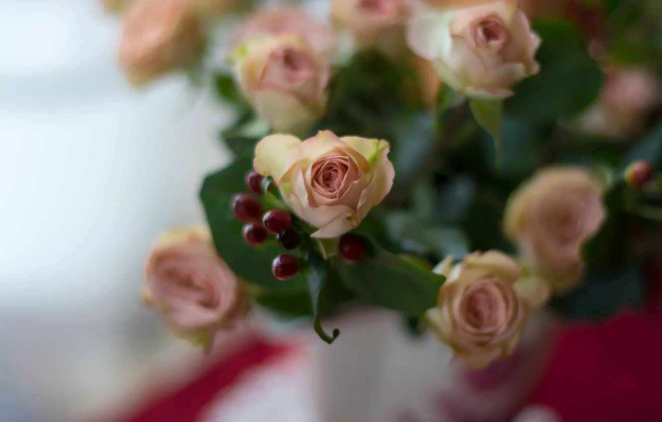 Photo wallpaper roses, bouquet, buds, bokeh