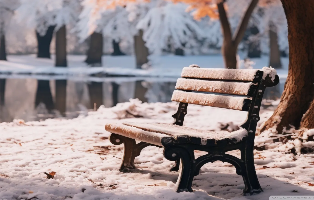 Photo wallpaper snow, trees, bench, Park