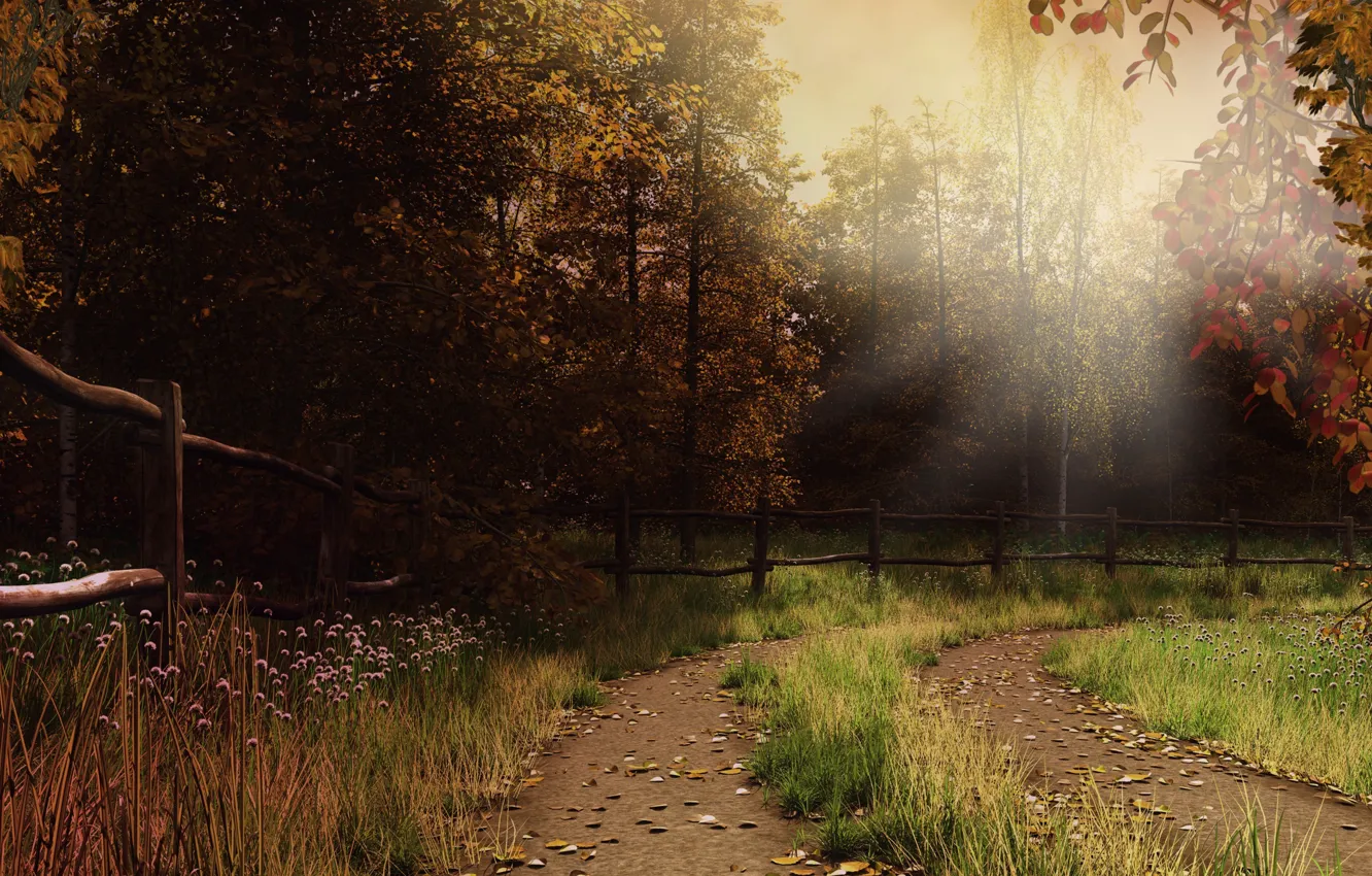 Photo wallpaper autumn, forest, grass, leaves, rays, trail, fence, haze