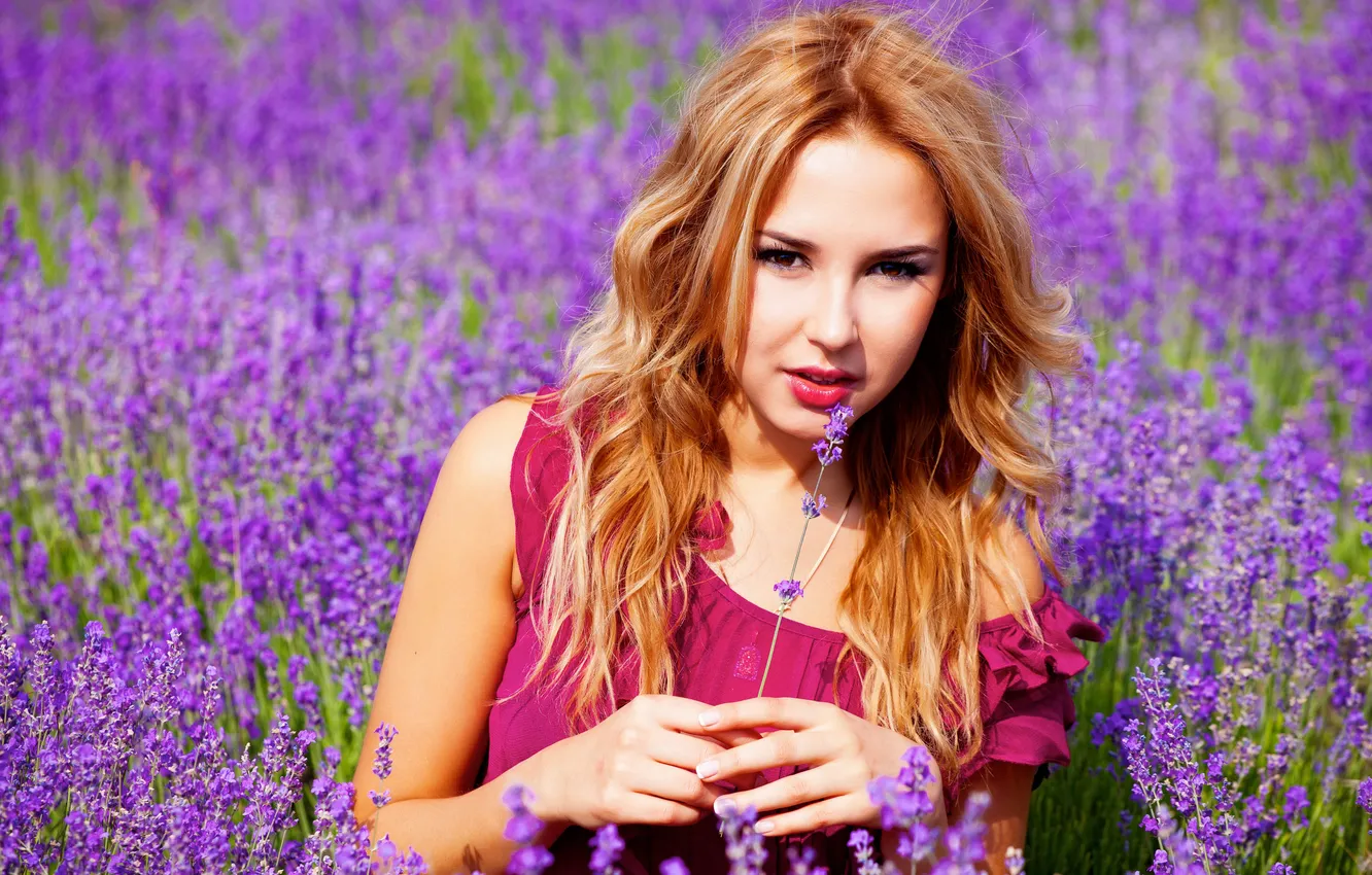 Photo wallpaper field, purple, girl, flowers, lilac, lavender