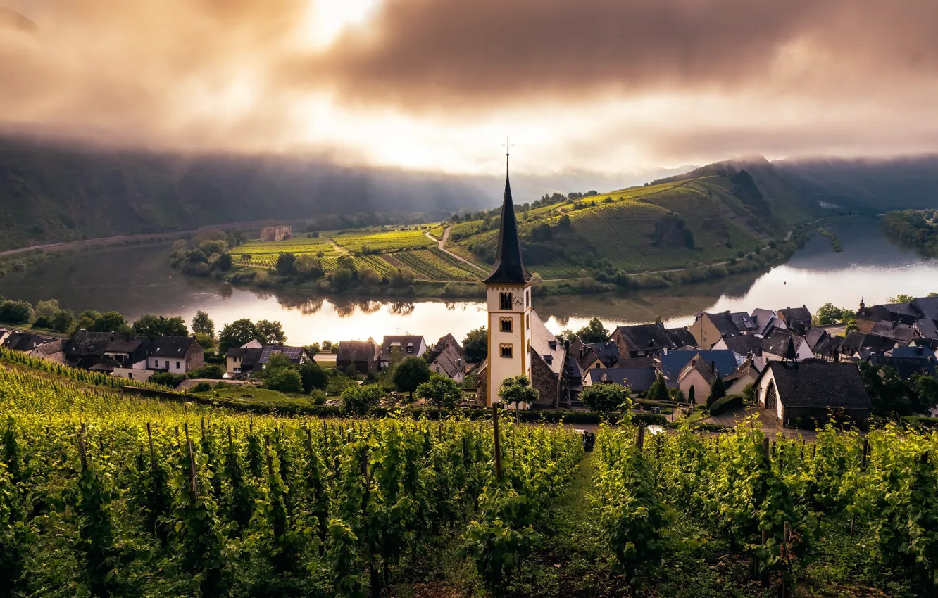 Photo wallpaper Mosel, church, Misty Morning, Trier, Vineyard