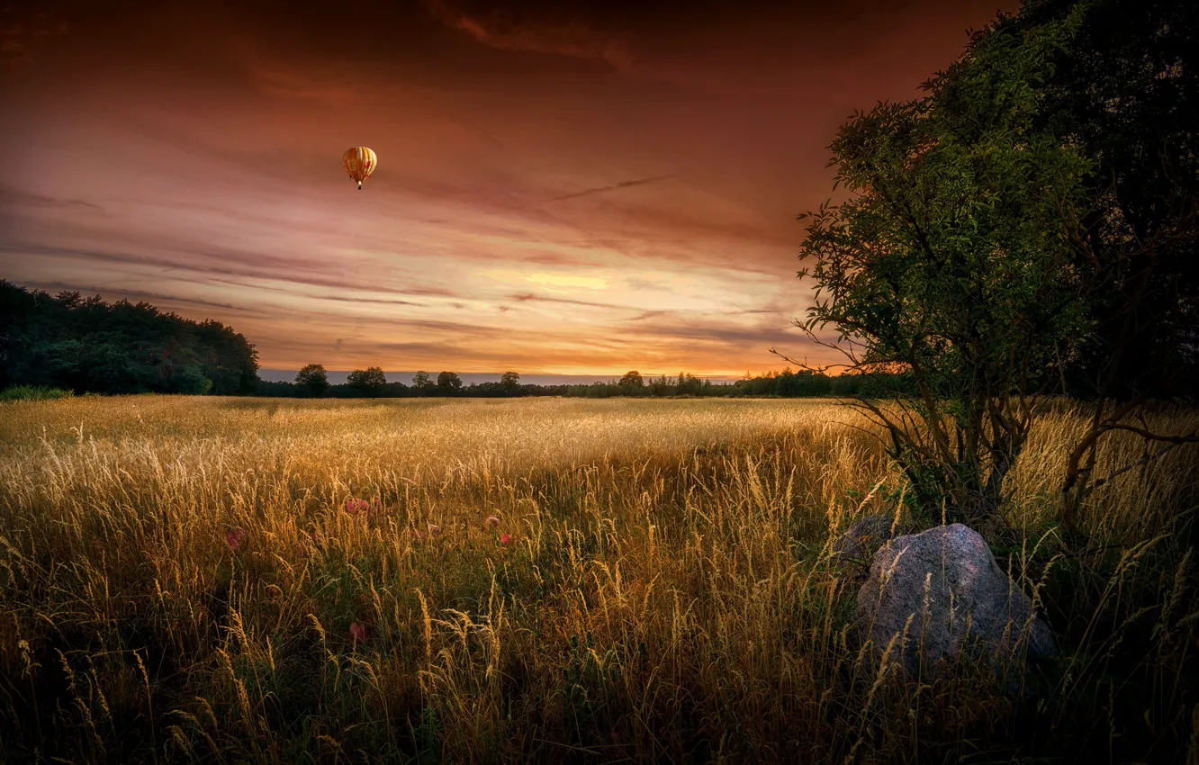 Photo wallpaper field, summer, sunset, balls
