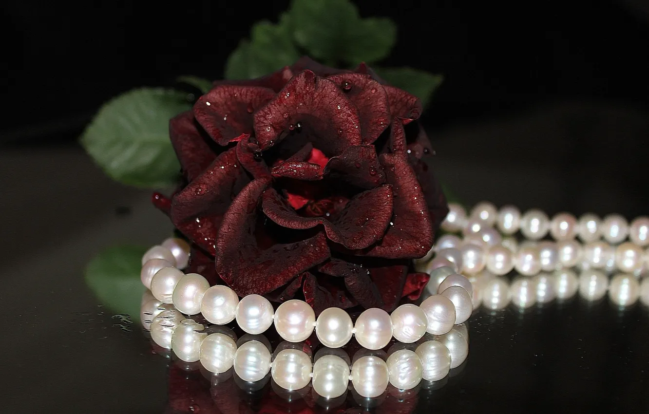 Photo wallpaper flower, flowers, widescreen, Wallpaper, rose, necklace, pearl, beads