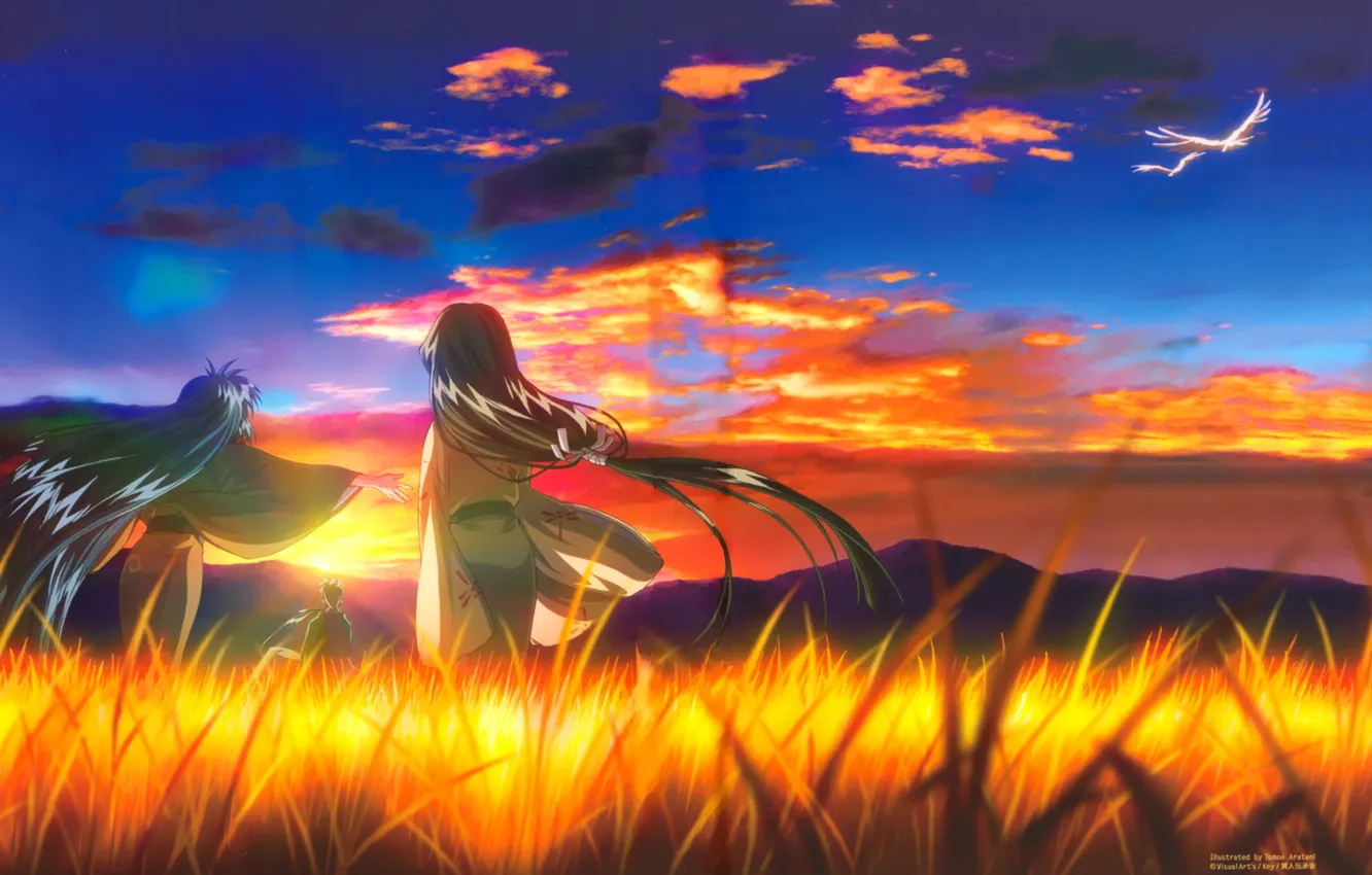 Photo wallpaper the sky, grass, the sun, clouds, sunset, girls, bird, art