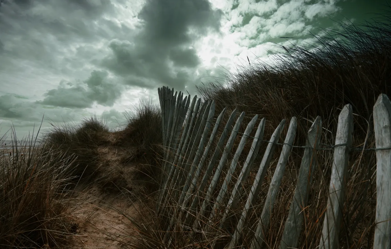 Photo wallpaper the sky, clouds, the fence, plant, fortitude by glain07