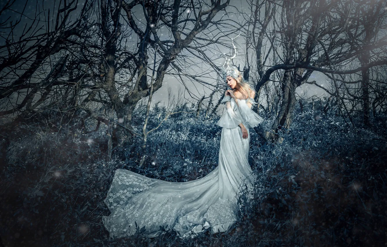 Photo wallpaper forest, grass, girl, light, trees, branches, nature, face